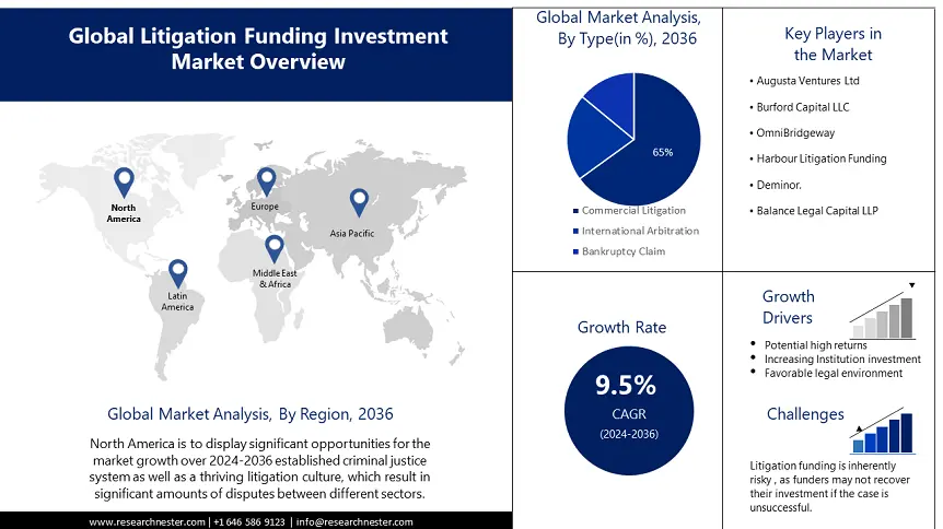 Litigation Funding Investment Market Overview